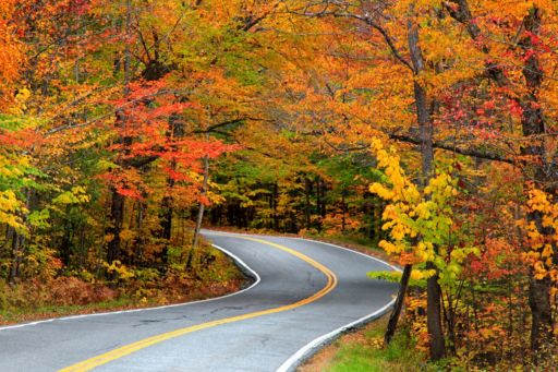 Fall foliage in Vermont