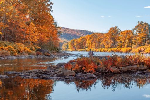 Berkshires, Massachusetts. Photo by Shutterstock.