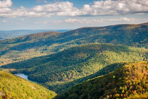 Charlottesville, Virginia. Photo via Shutterstock.