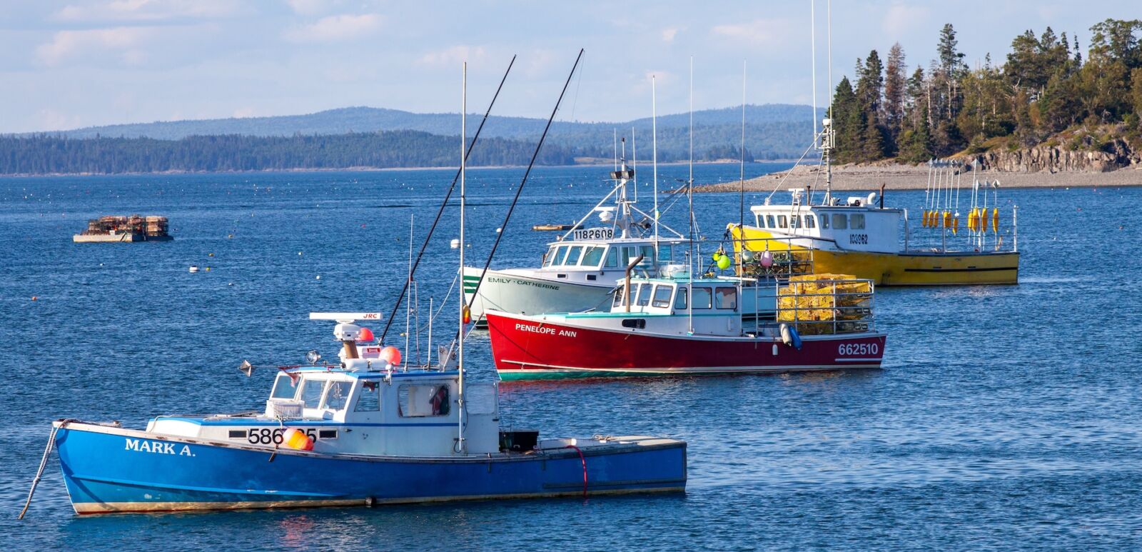 Bar Harbor, ME - July 28 2011 - Lobster Boats anchored in Bar Harbor Maine on a sunny day