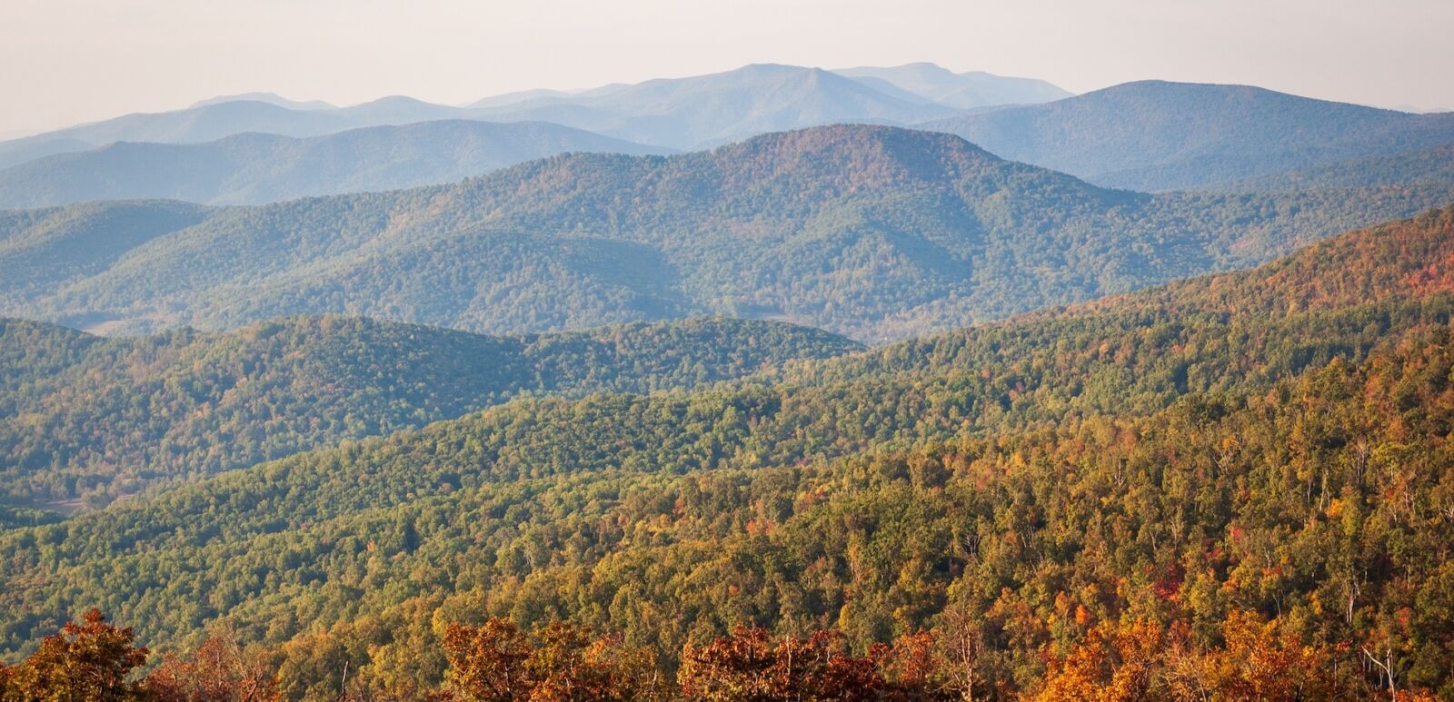 A view of the Blue Ridge mountains from the Appalachian Trail atop Round Bald in Tennessee-North Carolina. Layers of grasslands, forests, and distant mountain peaks.