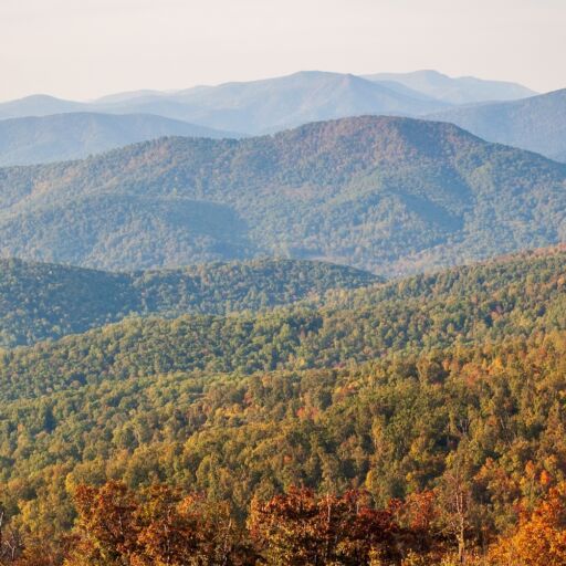 A view of the Blue Ridge mountains from the Appalachian Trail atop Round Bald in Tennessee-North Carolina. Layers of grasslands, forests, and distant mountain peaks.