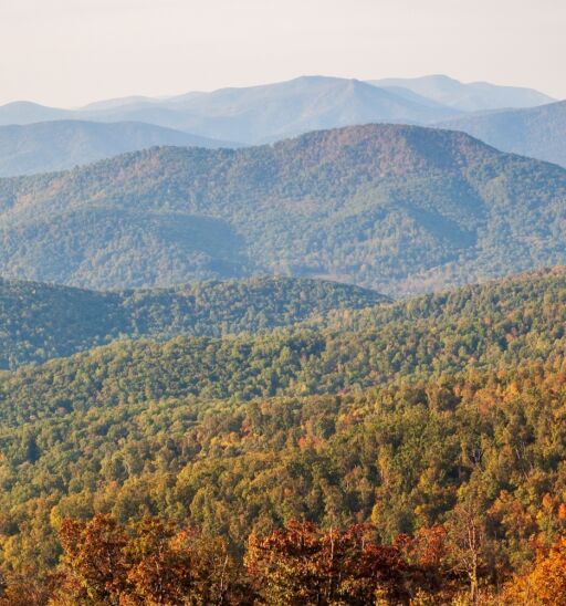 A view of the Blue Ridge mountains from the Appalachian Trail atop Round Bald in Tennessee-North Carolina. Layers of grasslands, forests, and distant mountain peaks.