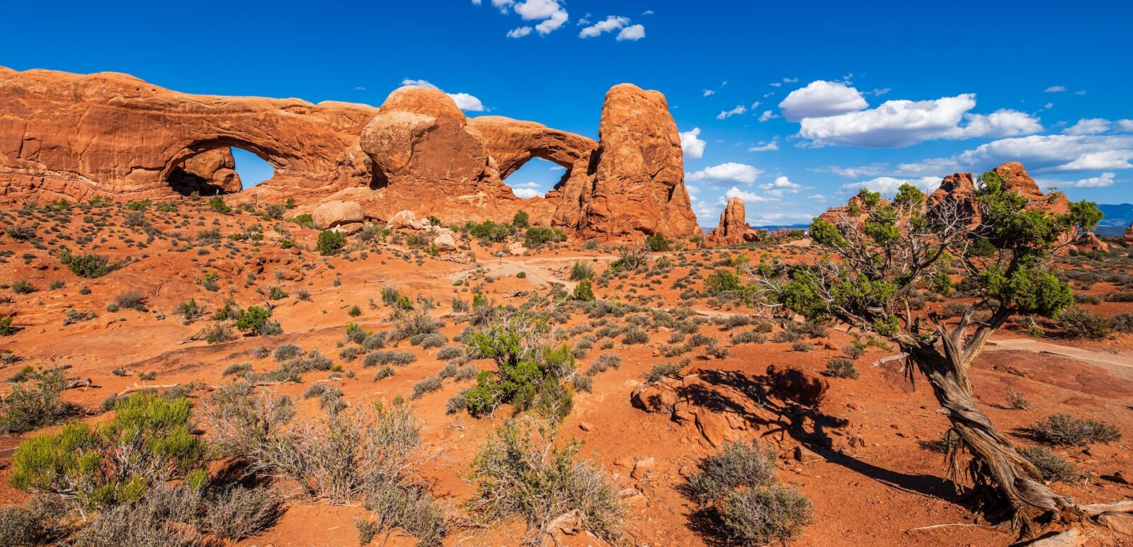 The north-south section of the Arches National park near Moab, Utah.