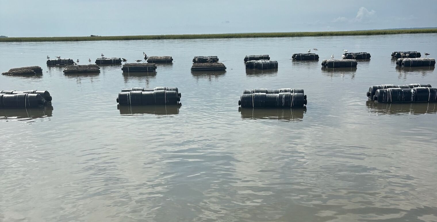 Oyster farm