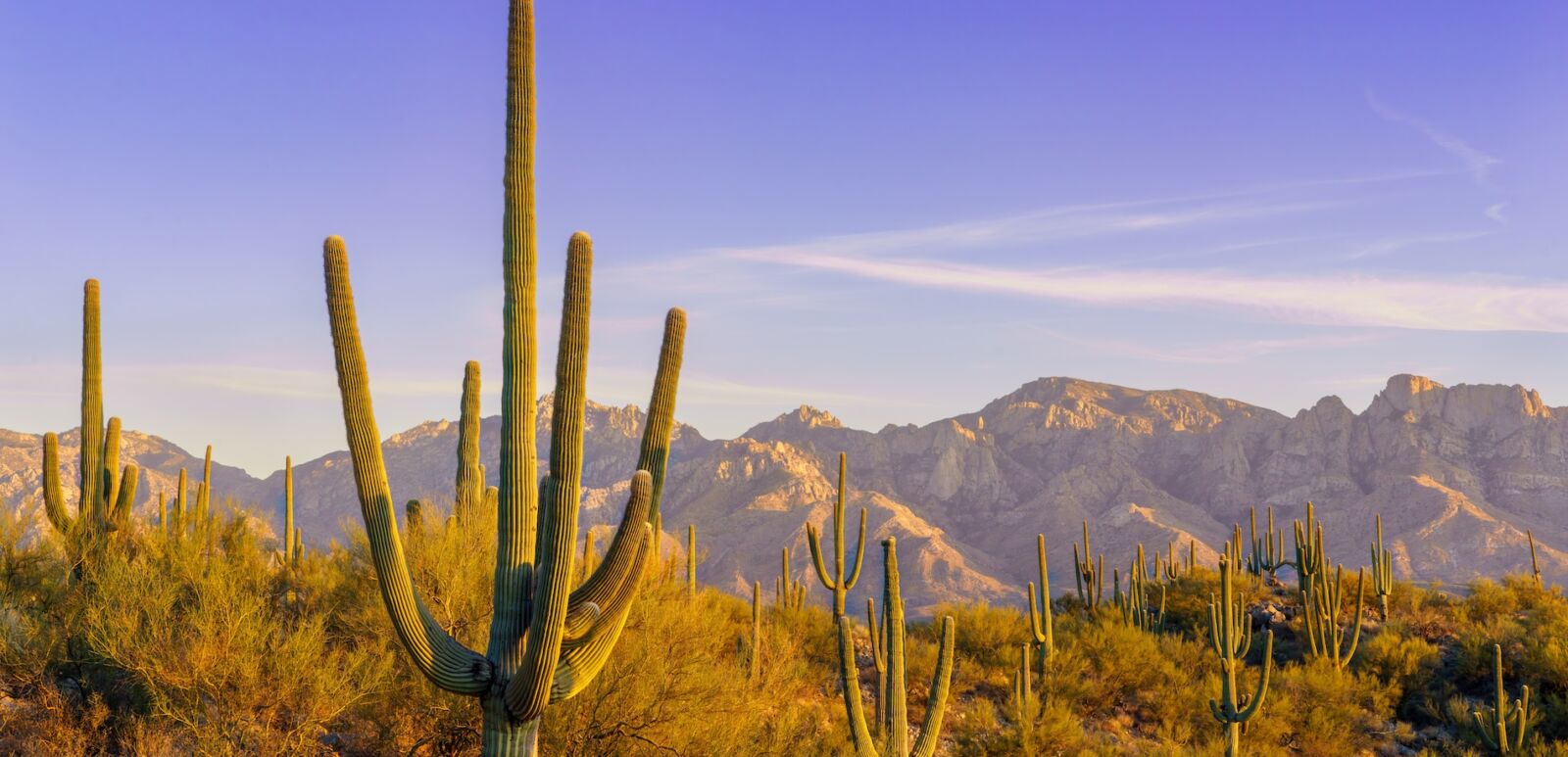 The City with America’s Best Mexican Food?